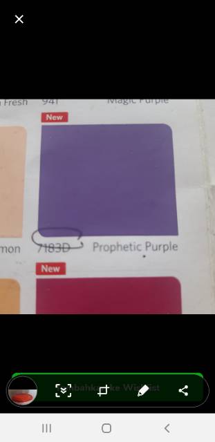 CAT TEMBOK VINILEX NIPPON PAINT WARNA UNGU/PROPHETIC PURPLE 7183D ISI 5KG