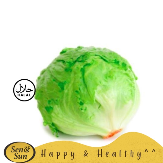 

Sen&Sun Head Lettuce / Selada Head Organik 1 buah