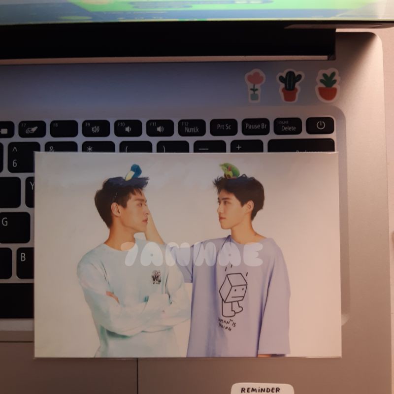 NADAO CUTE CARD BILLKIN-BKPP