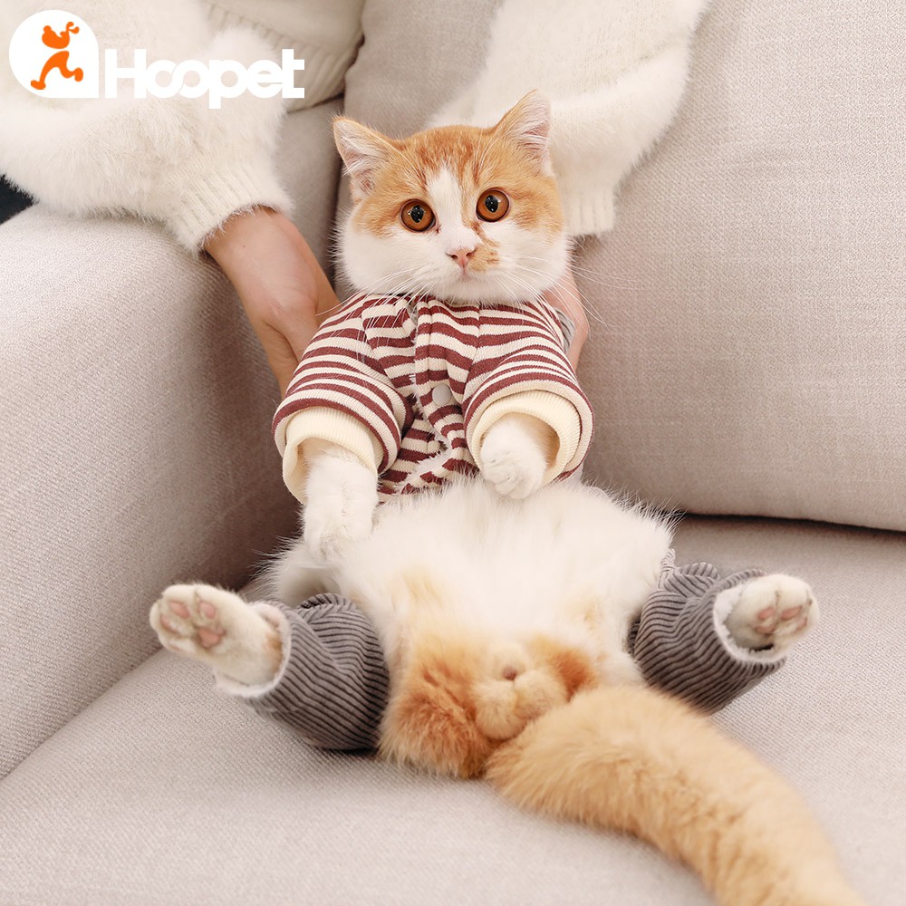Pakaian Anjing Kucing Kecil Lucu Shopee Indonesia