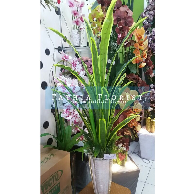 lidah mertua artificial latex (sanseveria)