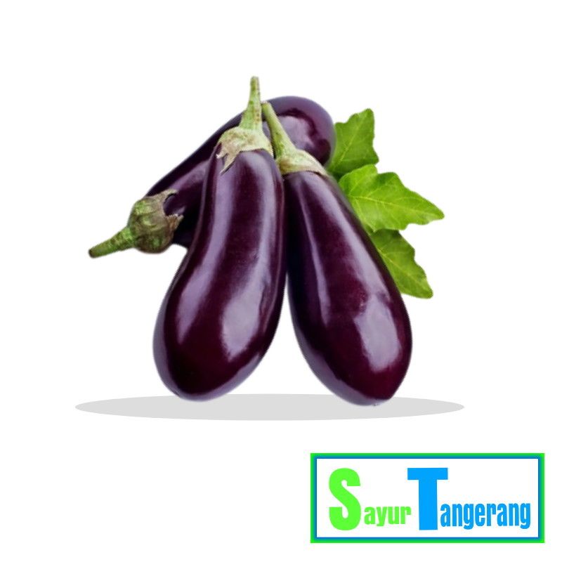 

Sayur Tangerang Sayuran Segar Terong Ungu 1000 gr