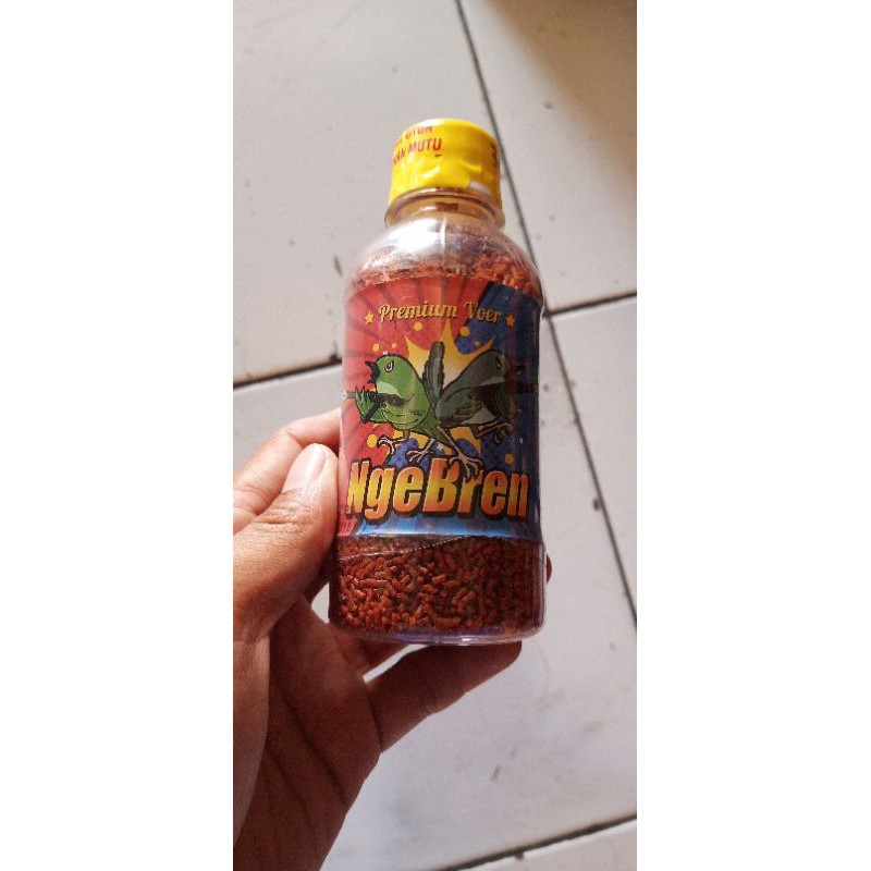 pur ngebren ebod ciblek,prenjak,pleci