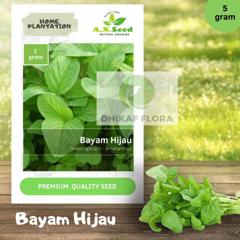 Benih Bibit Bayam Hijau (AX Seed)