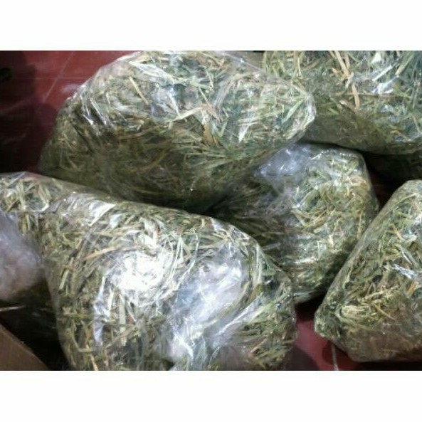 rumput hay SH fresh/rumput kering import/hay SH/rumput hay Alfalfa/rumput Hay thimothy