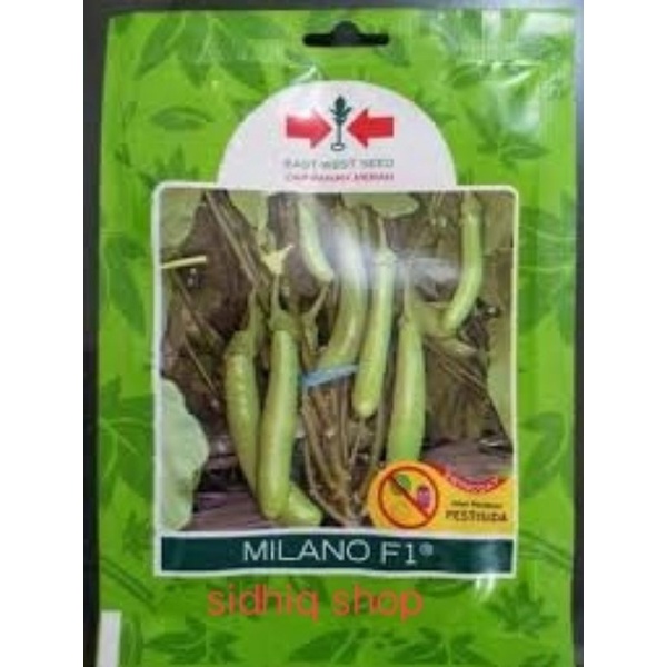benih terong milano f1 400 butir