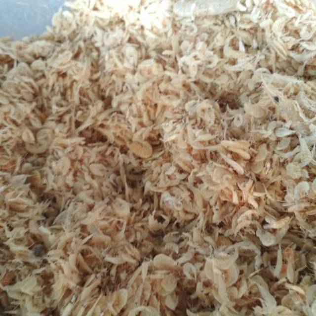 

UDANG REBON ASIN PALING MANTAP DISHOPEE
