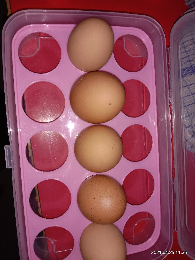 Tempat Telur 15 Lubang Dan Sekat (box Telur)