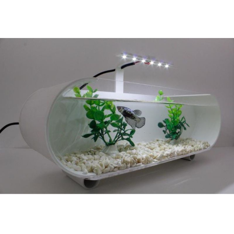 aquarium mini cupang akrilik unik fullset
