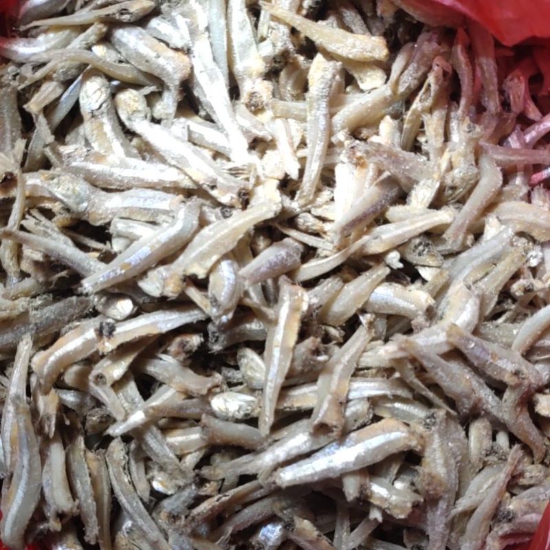 

ikan asin teri jengki 1 kilogram