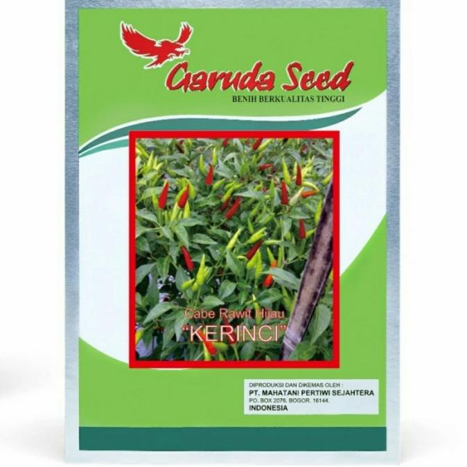 ( 10 Grm ) Benih Cabe Rawit Hijau "KERINCI" - Garuda Seed