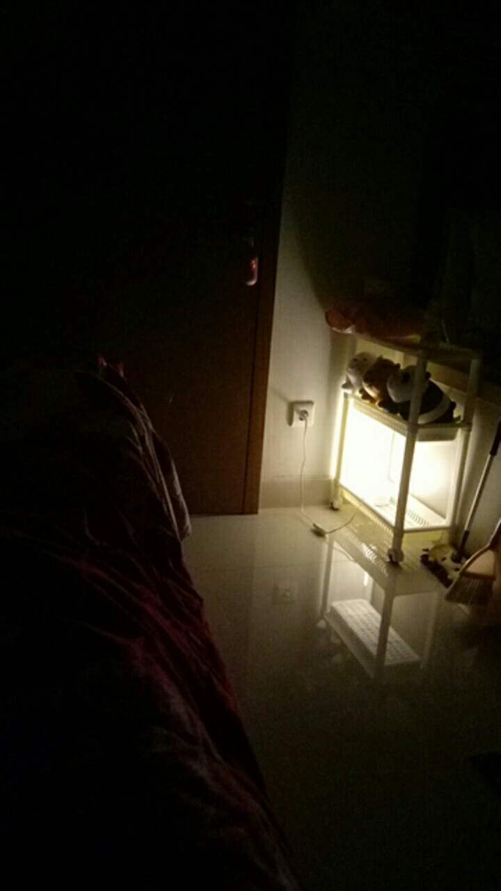 Tossig - Tempat Duduk Toilet, Toilet Trainer