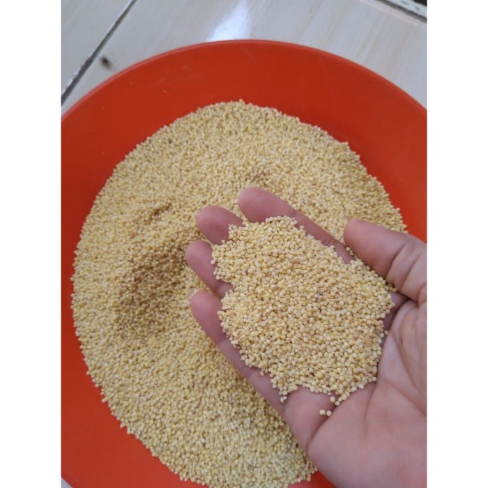 

vf501ge Biji Kunyit / Jewawut / Millet Bahan Olahan Kemasan Repack 250 Gr Dscscv