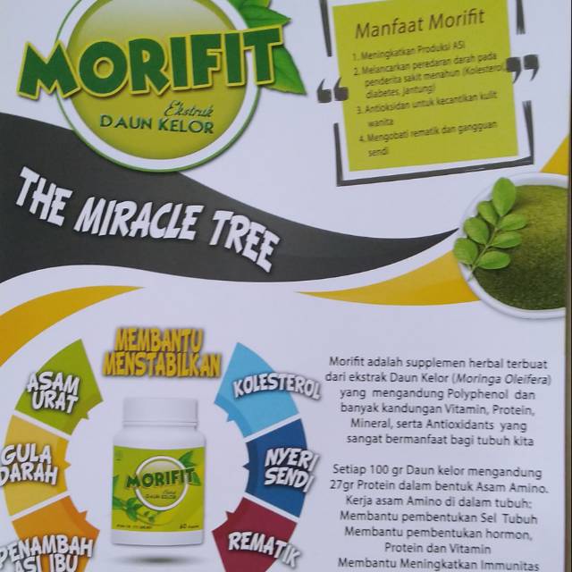 Morifit, extraks daun kelor