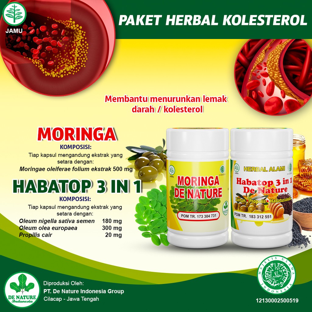 Obat Kolesterol Lemak Darah Hipertensi Darah Tinggi Maag Mag Asam Lambung Tinggi Herbal De Nature Shopee Indonesia