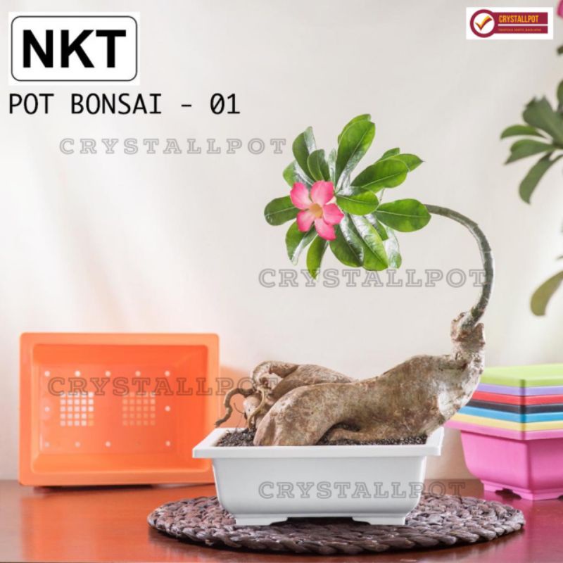 pot bunga tanaman ceper NKT BONSAI 01 WARNA WARNI - NKT BONSAI 01