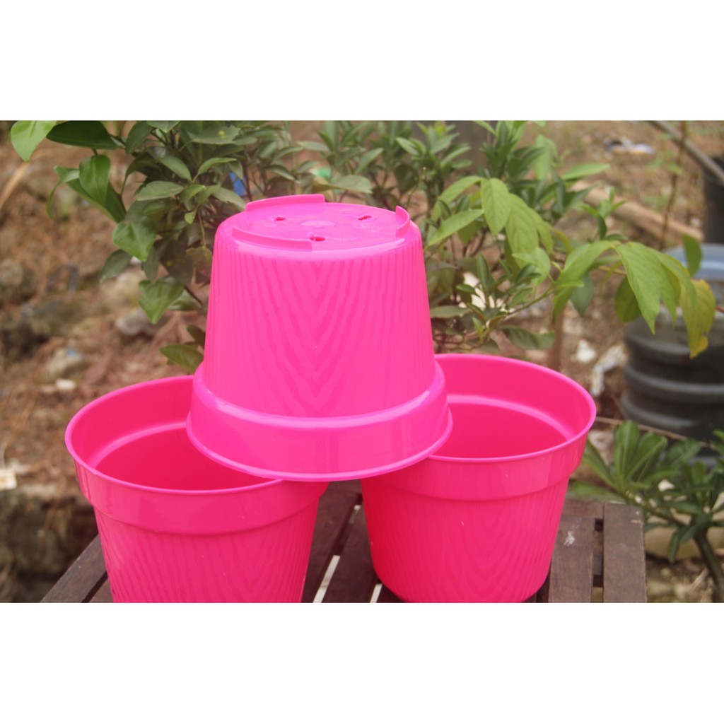 Pot Bunga 15cm / King Mado 18 Pink Motif Kayu - Pot Plastik 15 Cm Bibit Pink Ori