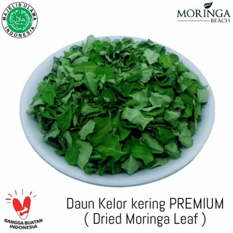 

DAUN KELOR FRESH/KERING ORGANIK 1000 GRAM (PREMIUM QUALITY)
