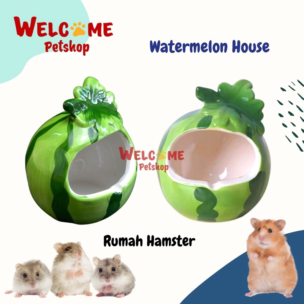 Watermelon House / Rumah Keramik Hamster / Rumah Hamster