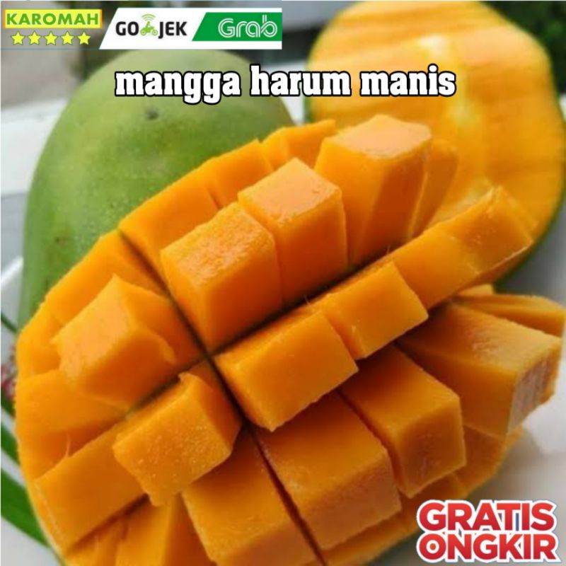 

buah mangga harum manis 1 Kg super jumbo