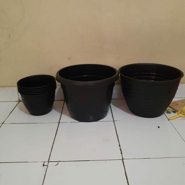  pot  bunga tanaman tawon  hitam  30cm Shopee Indonesia