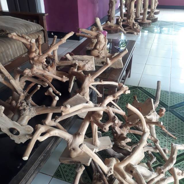 Tangkringan kayu kopi kayu kopi cabang