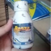 Fungisida Renzo 250EC 100ML