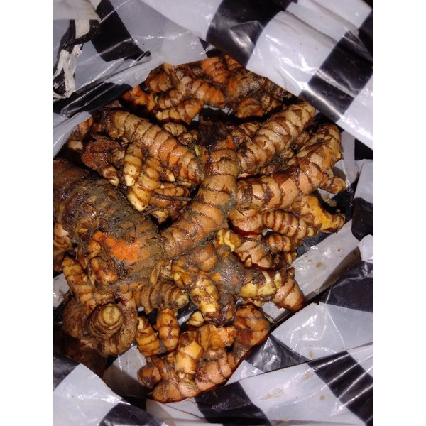 

Kunyit 1 kg panen sendiri Kunyit segar, kunyit kuning