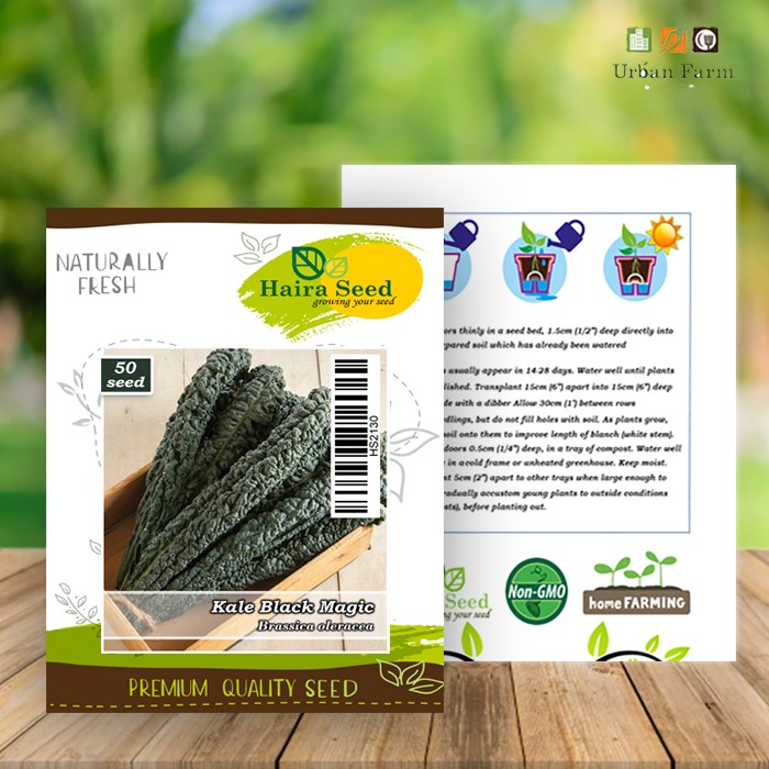 Benih-Bibit Kale Black Magic (Haira Seed)