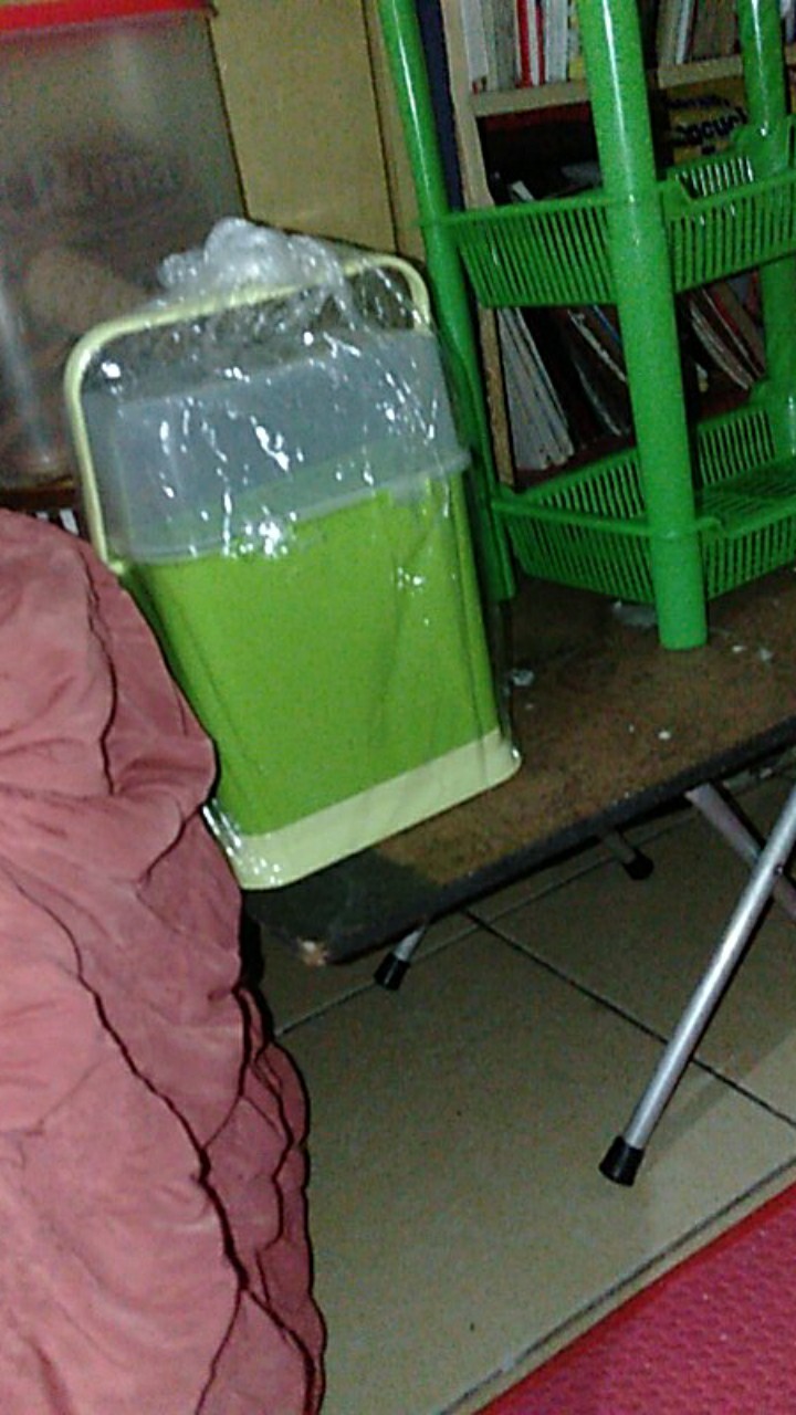 Tempat Sendok & Garpu Golden Sunkist (tss 1027)