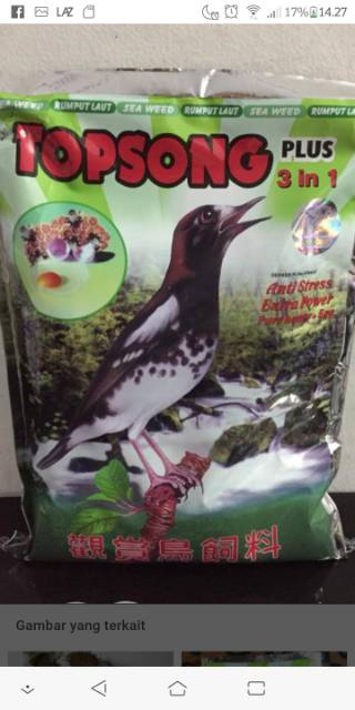 Pakan burung top song ( hijau dan coklat )