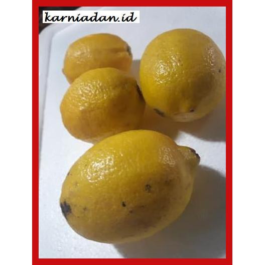 

lanoisidartdrink- fresh lemon -asliii-bngittt.
