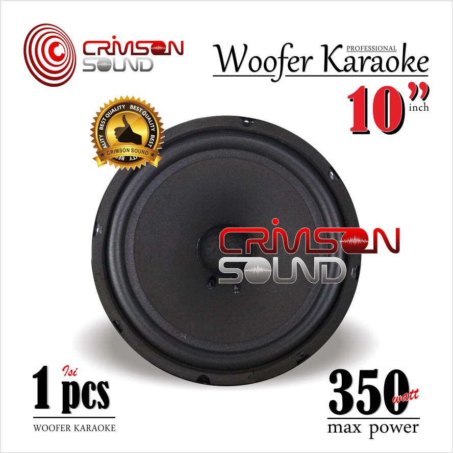 WOOFER 10 Inch KARAOKE Model BMB
