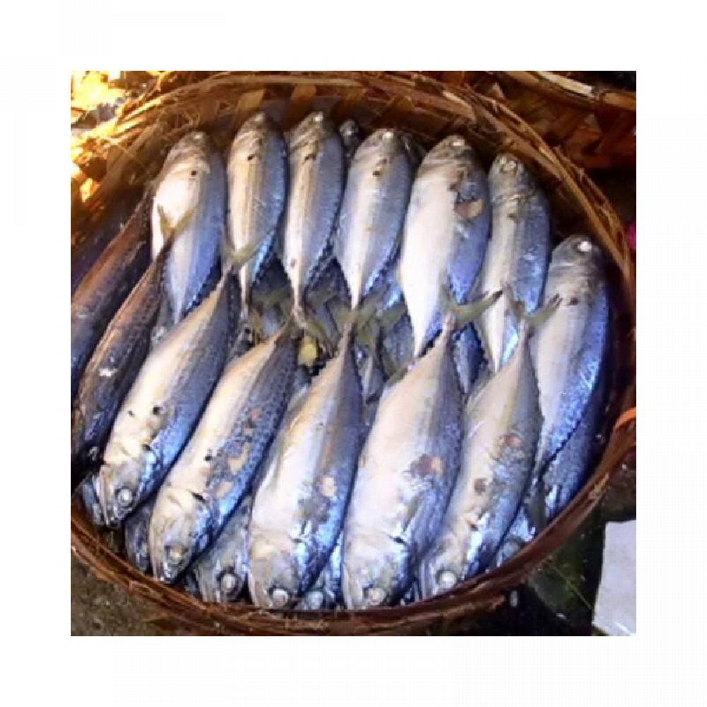 

ikan gembung rebus 1kg