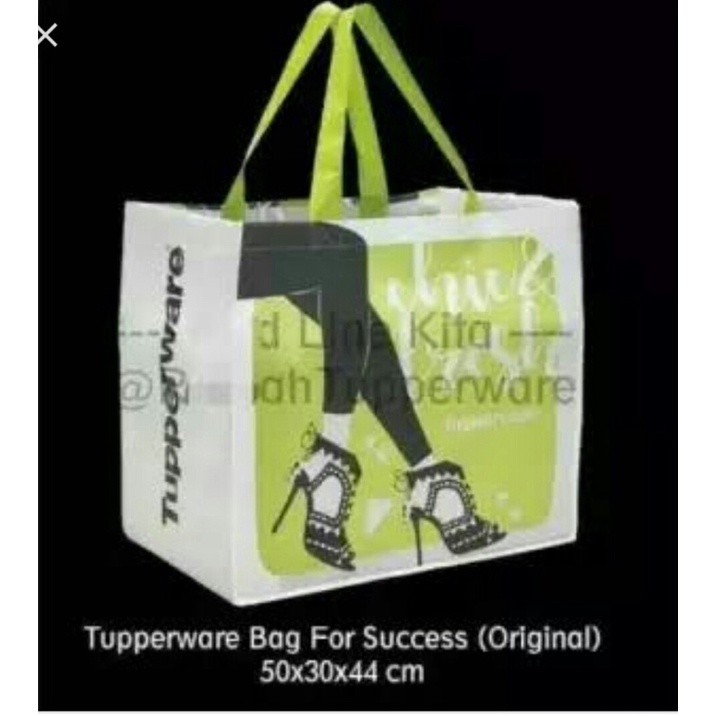 Tupperware Bag For Success (Original)