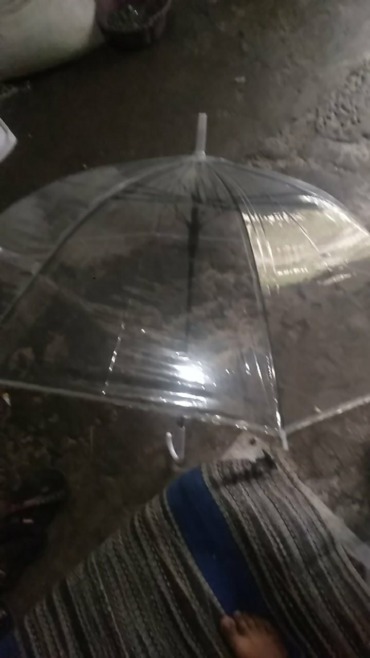 Payung Bening Transparan Payung Jepang Transparan, Umbrella Transparant