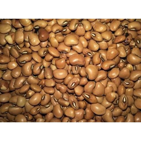 

KACANG TOLO SAYUR [250gr]