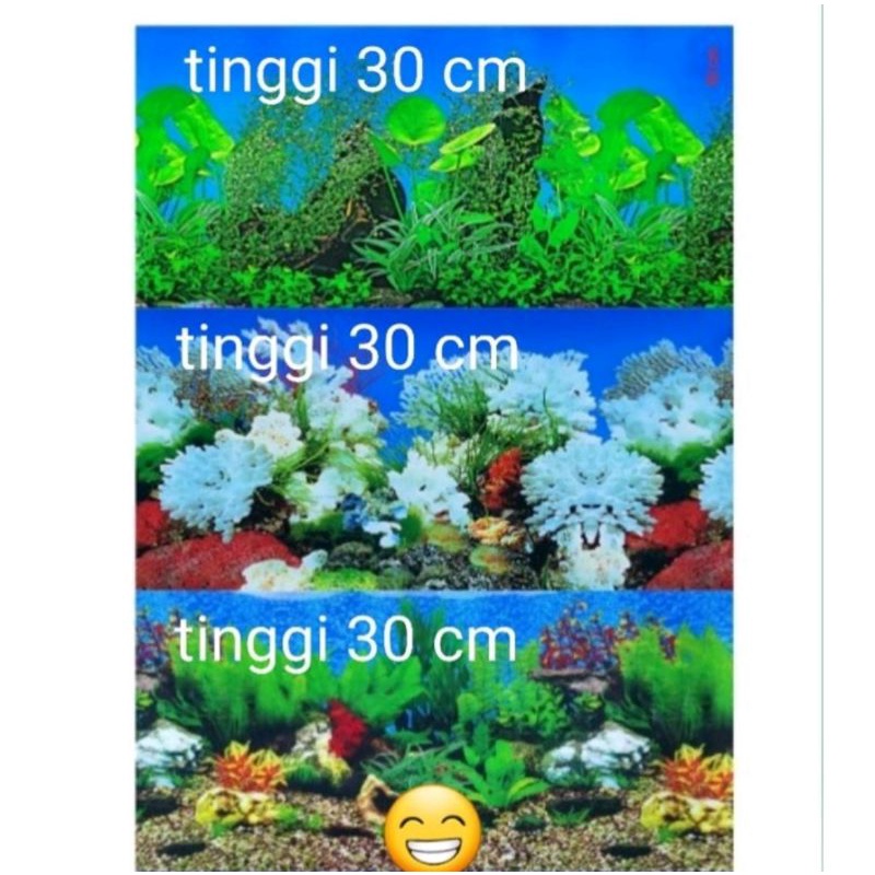 wallpaper aquarium background aquarium tinggi 30 cm 1roll 15 meter