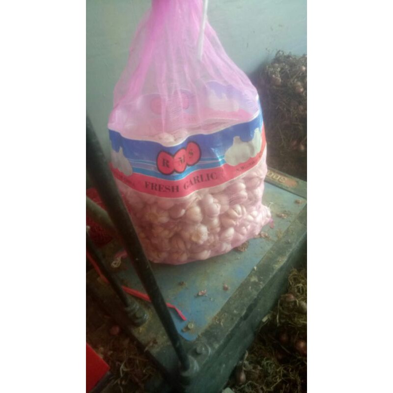

bwangputih
