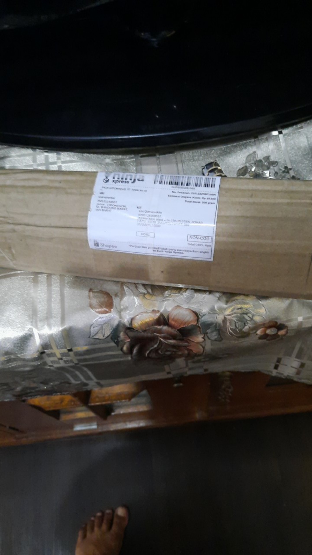 Angrek Dendrodium/merpati Remaja Siap Berbunga