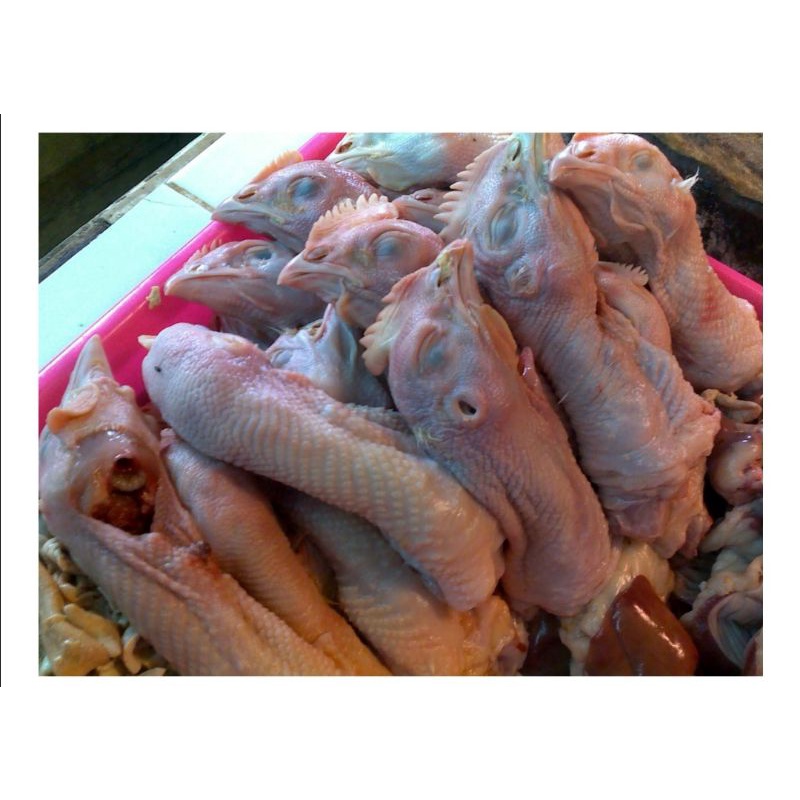 

Kepala ayam fresh 1 kg