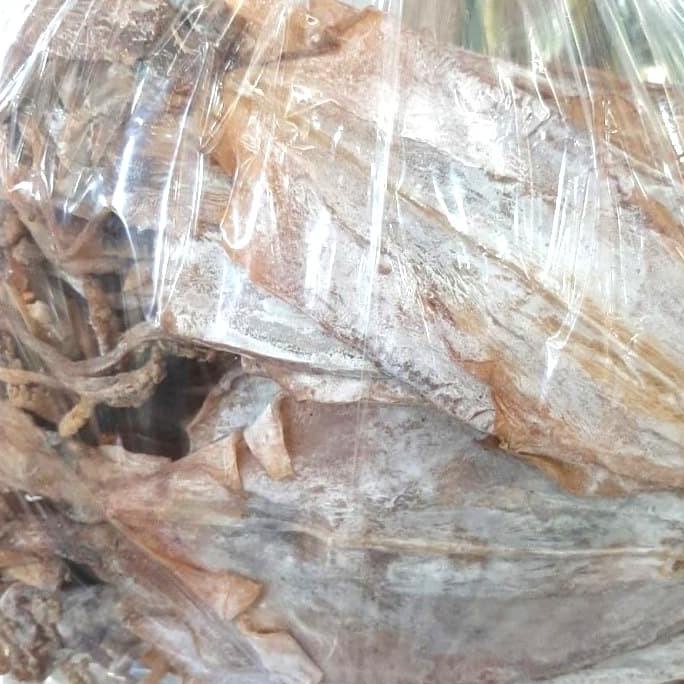 

---Terbaru--- Juhi kering