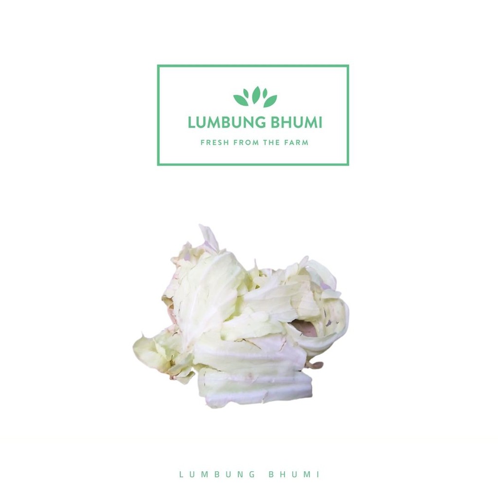 

Lumbung Bhumi - Kol Putih Pretelan 500 Gr ( Sayur Curah )