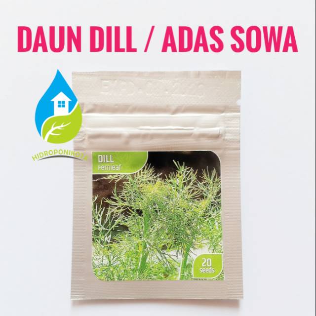 benih daun dill / adas sowa / fernleaf 20 biji - RSI