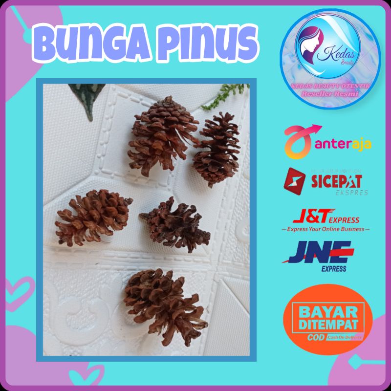 

Bunga pinus kering untuk hampers seserahan property photo produk