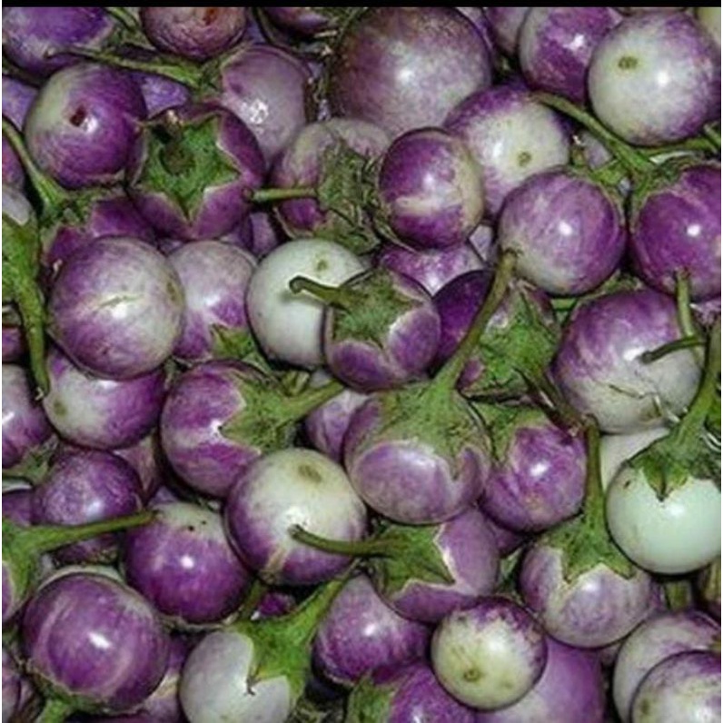 

Terong lalap/terong bulat/terong acar organik 500gr