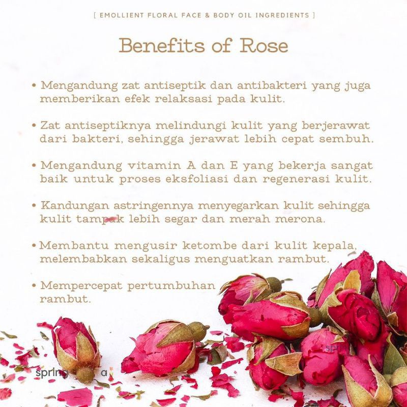 Chrysanthemum Rosebud Peppermint Tea : Teh Bunga Krisan, Bunga Mawar &amp; Daun Mint Isi 30 Tea Bag