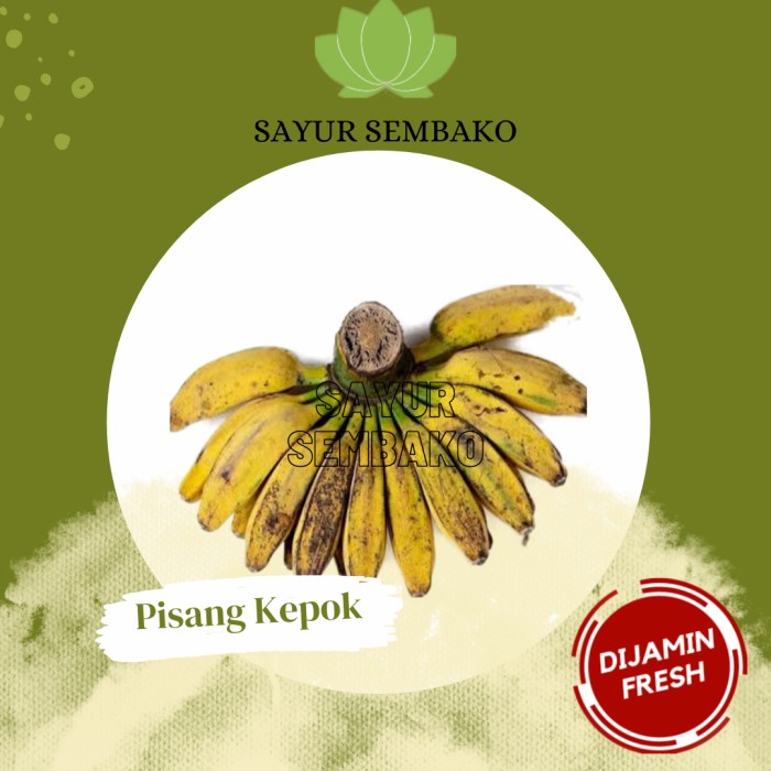 

Pisang Kepok (1sisir)