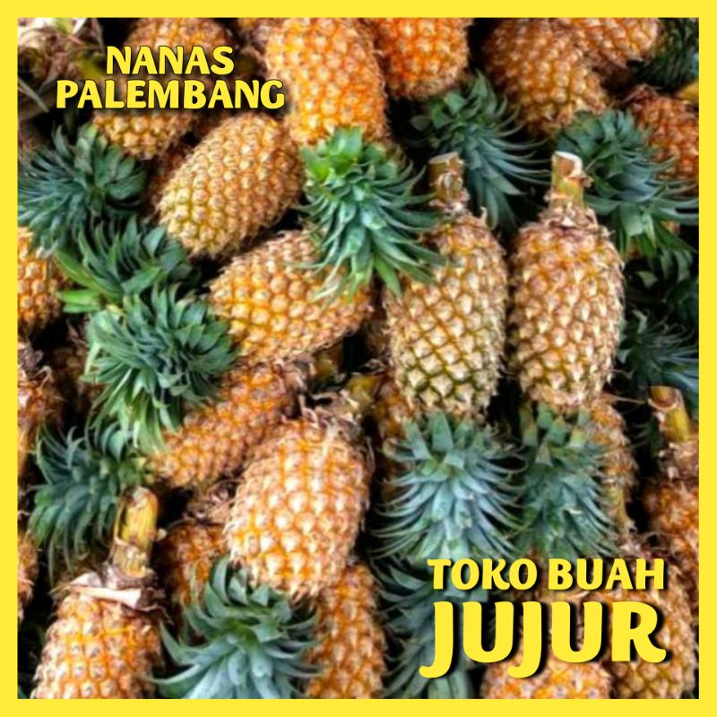 

NANAS PALEMBANG