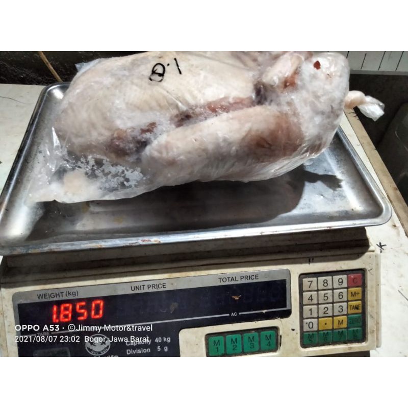 

Bebek Super Jumbo 1.8